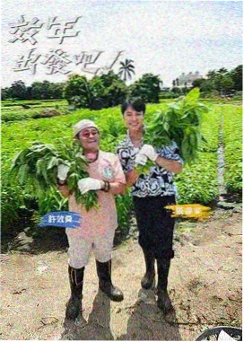 露天场次表 2013 年剧情片海报